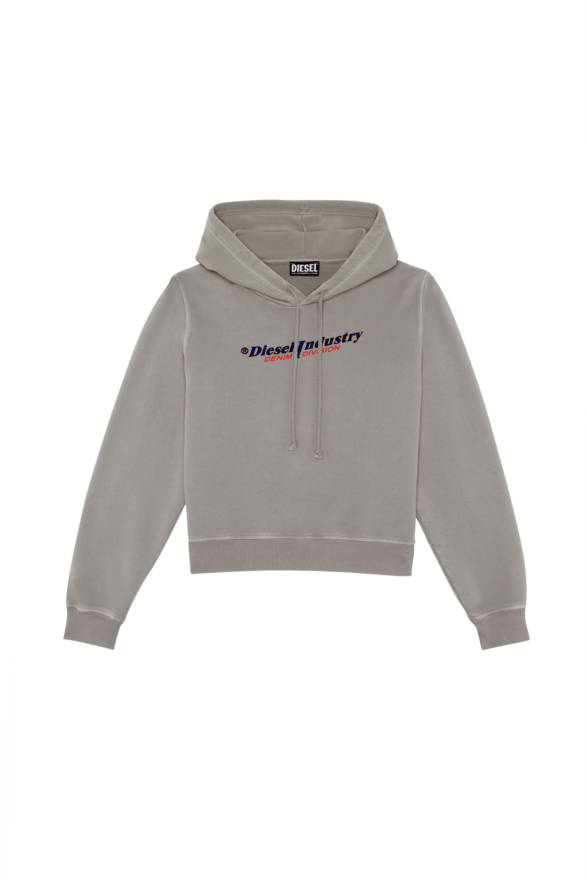 Diesel - F-REGGY-HOOD-IND, Grau - Image 2