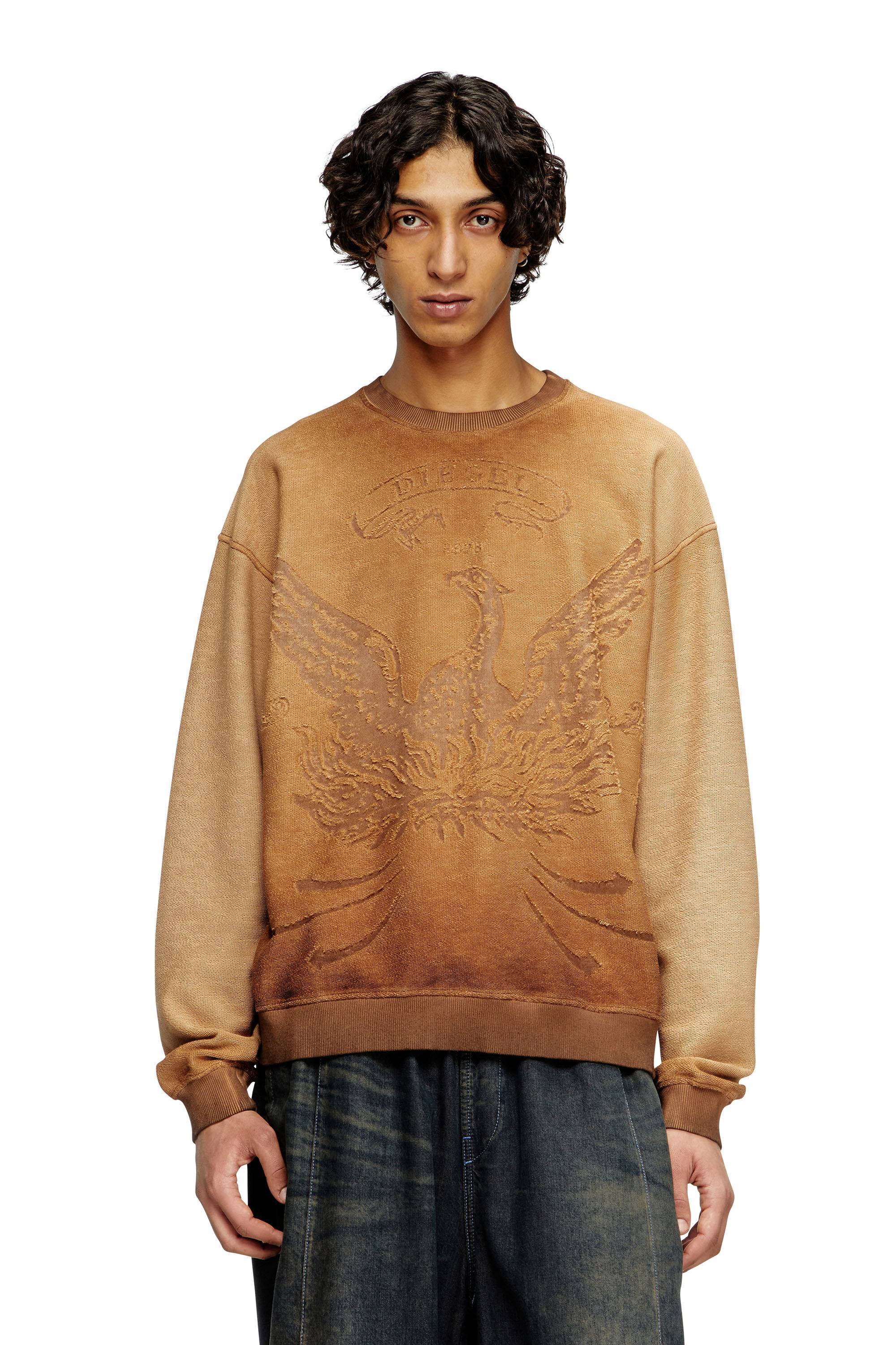 Diesel - S-ARON, Herren Verblasstes Sweatshirt mit Devoré-Phoenix-Logo in Braun - 3