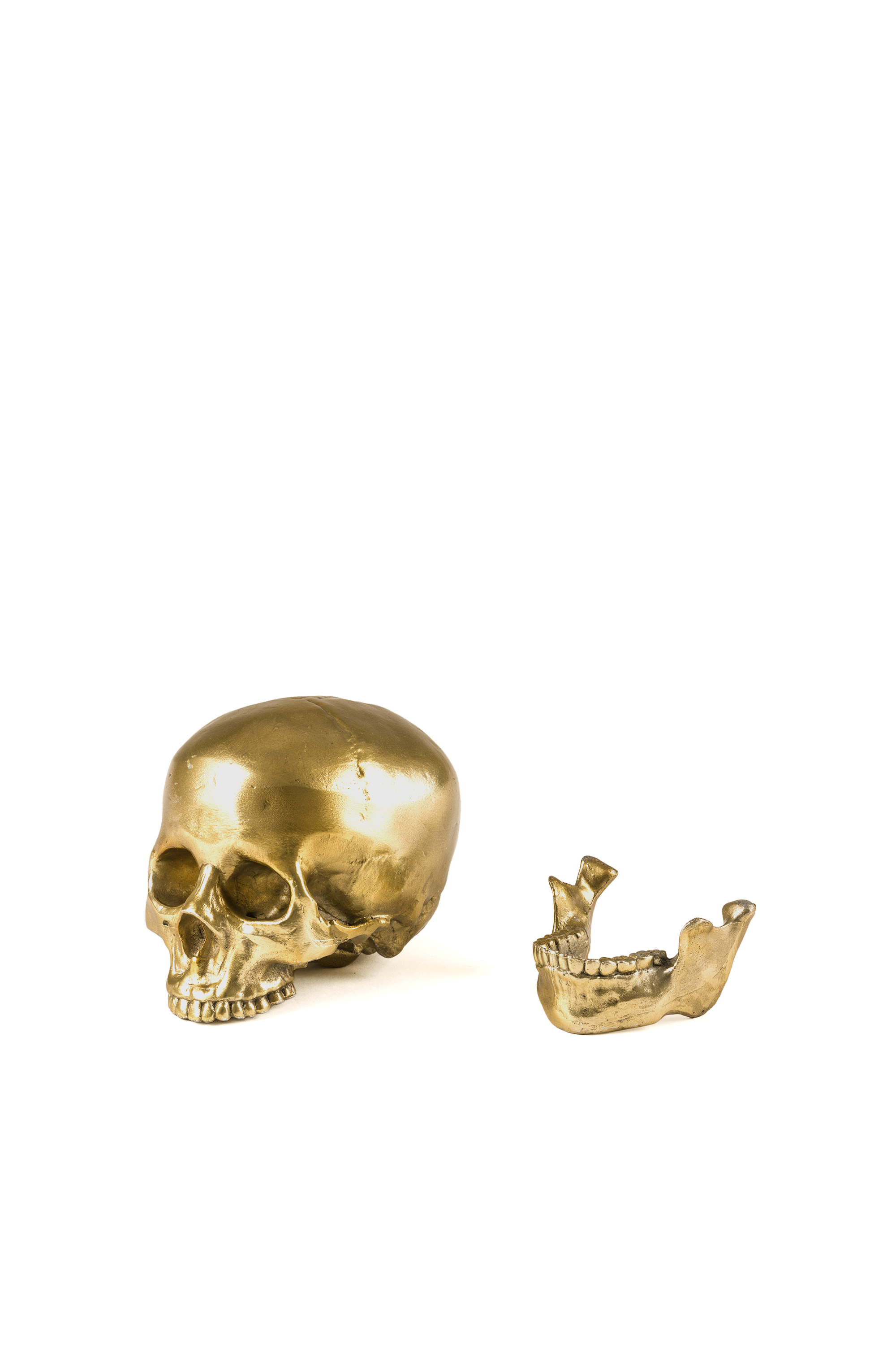 Diesel - 10891 Wunderkammer, Unisex "Culture Skullture" Wunderkammer Human Skull in Gold - 4