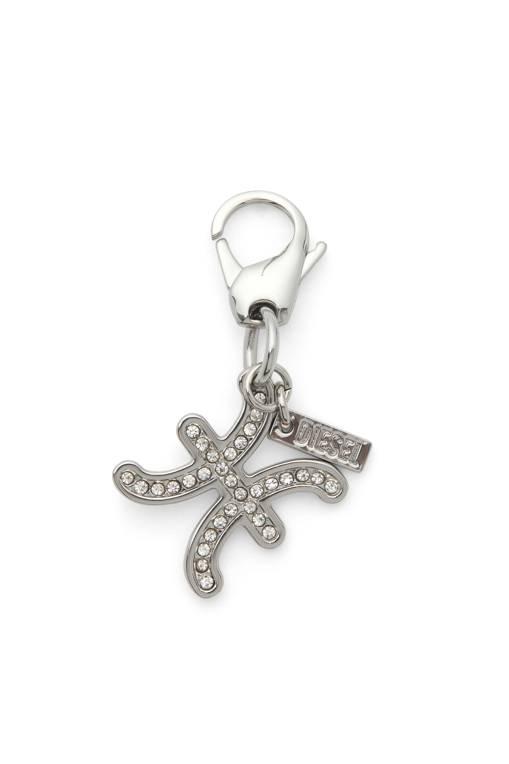 CHARM PISCES, Silber
