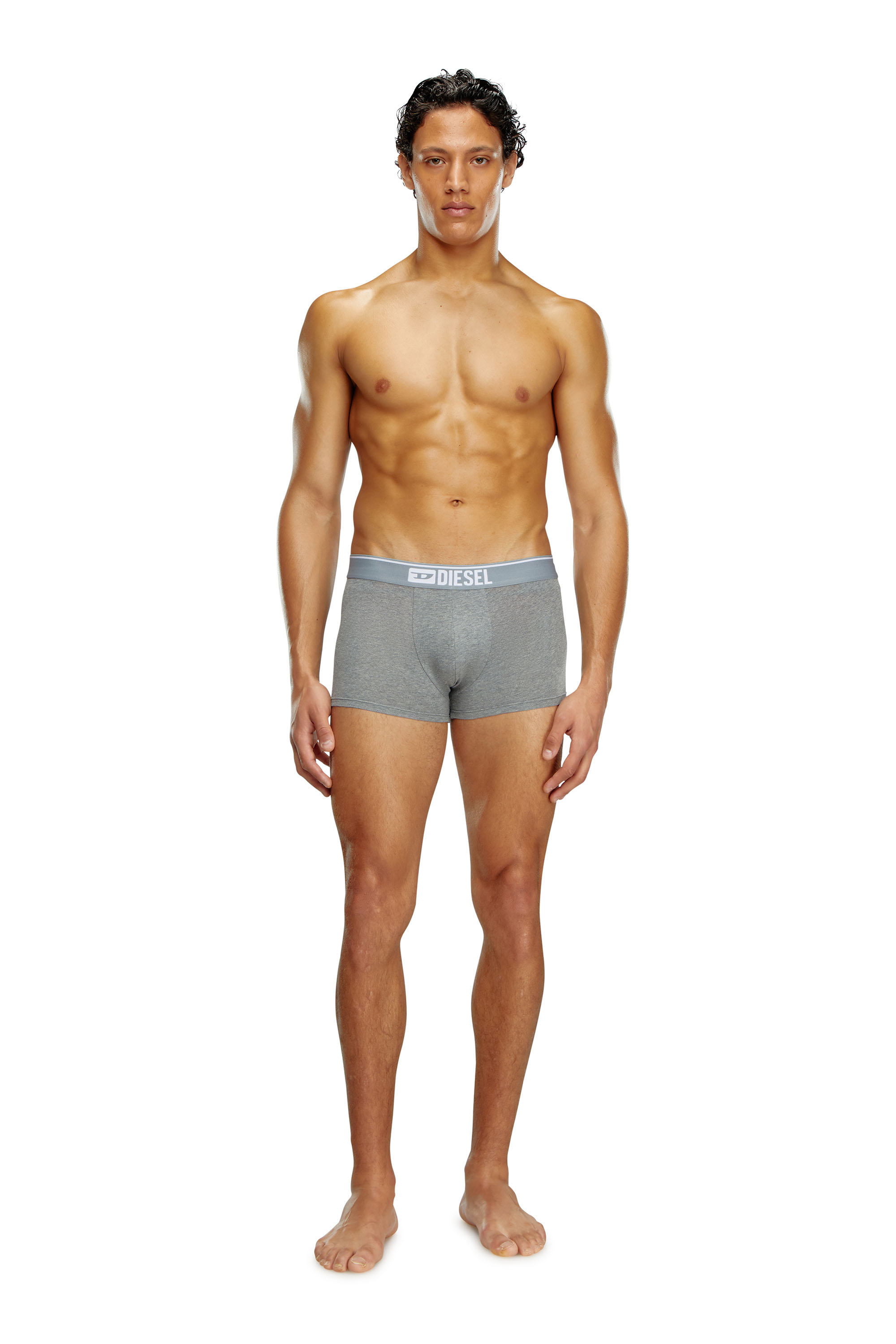 Diesel - UMBX-DAMIENTHREEPACK, Man's Three-pack of plain boxer in White/Grey - 1