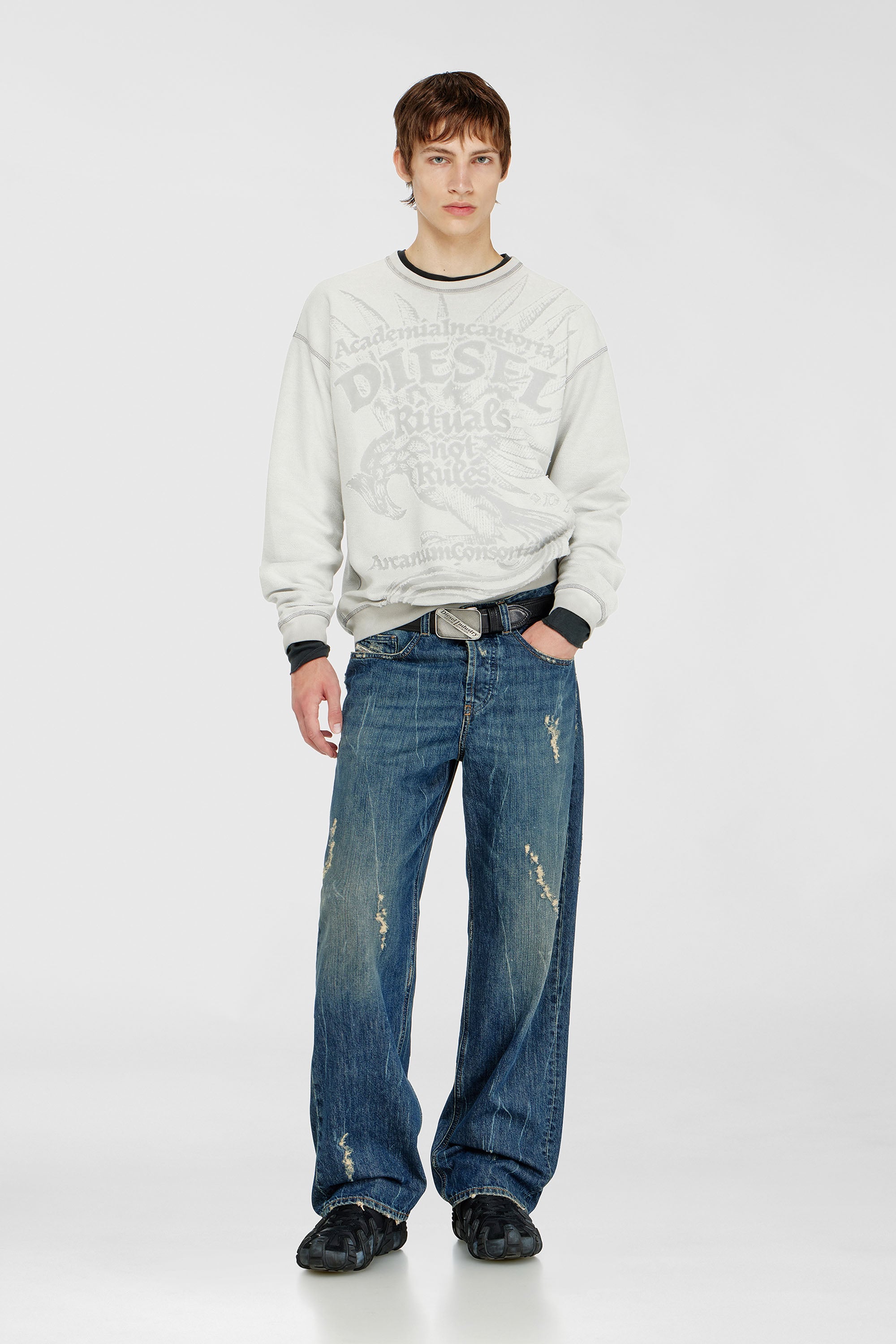 Diesel - S-ARON-RAW, Herren Sweatshirt mit d&eacute;vor&eacute;-Print in Hellgrau - 2