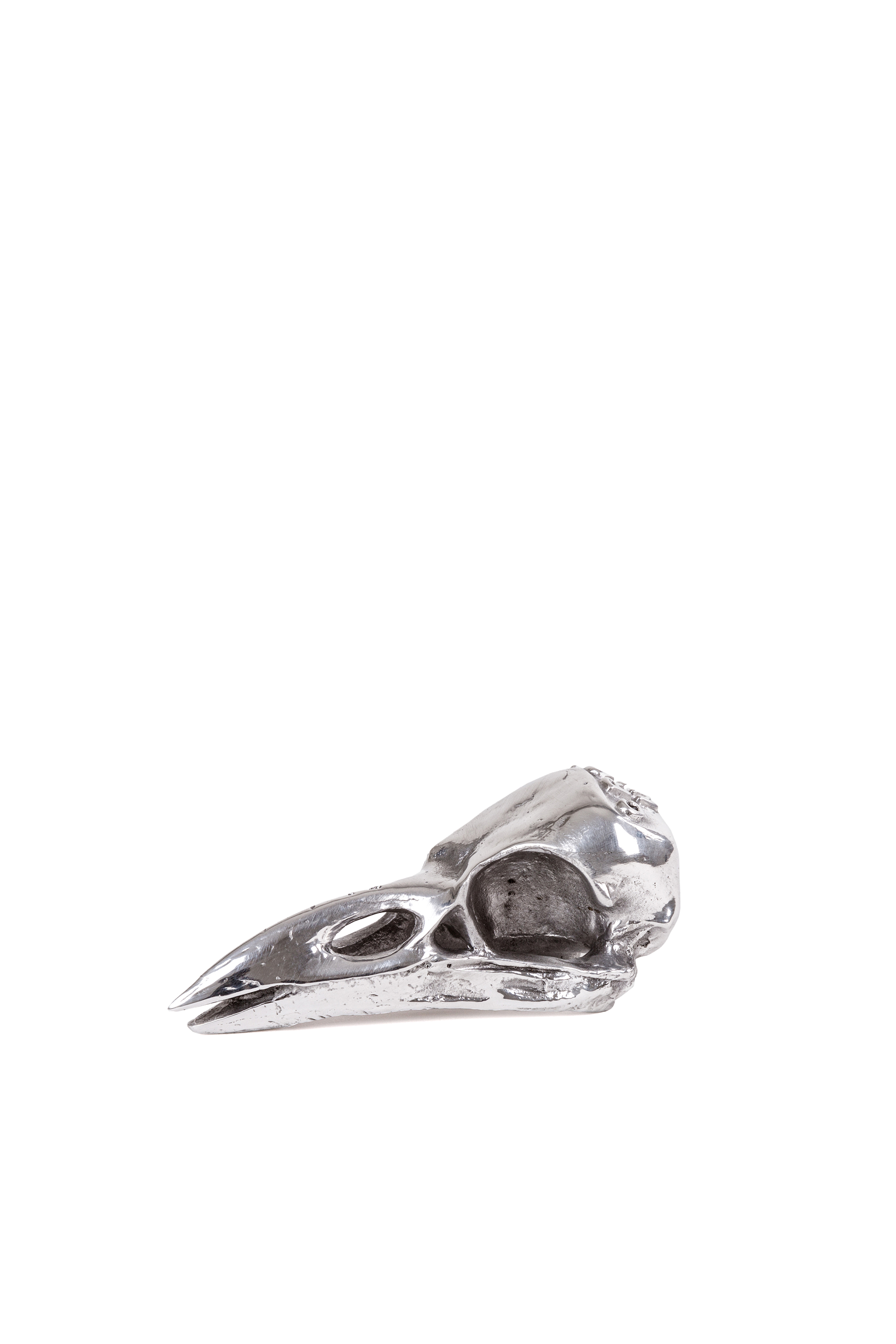 Diesel - 10895 WUNDERKAMMER, Unisex "Crow Up" Wunderkammer Bird Skull in Silber - 1