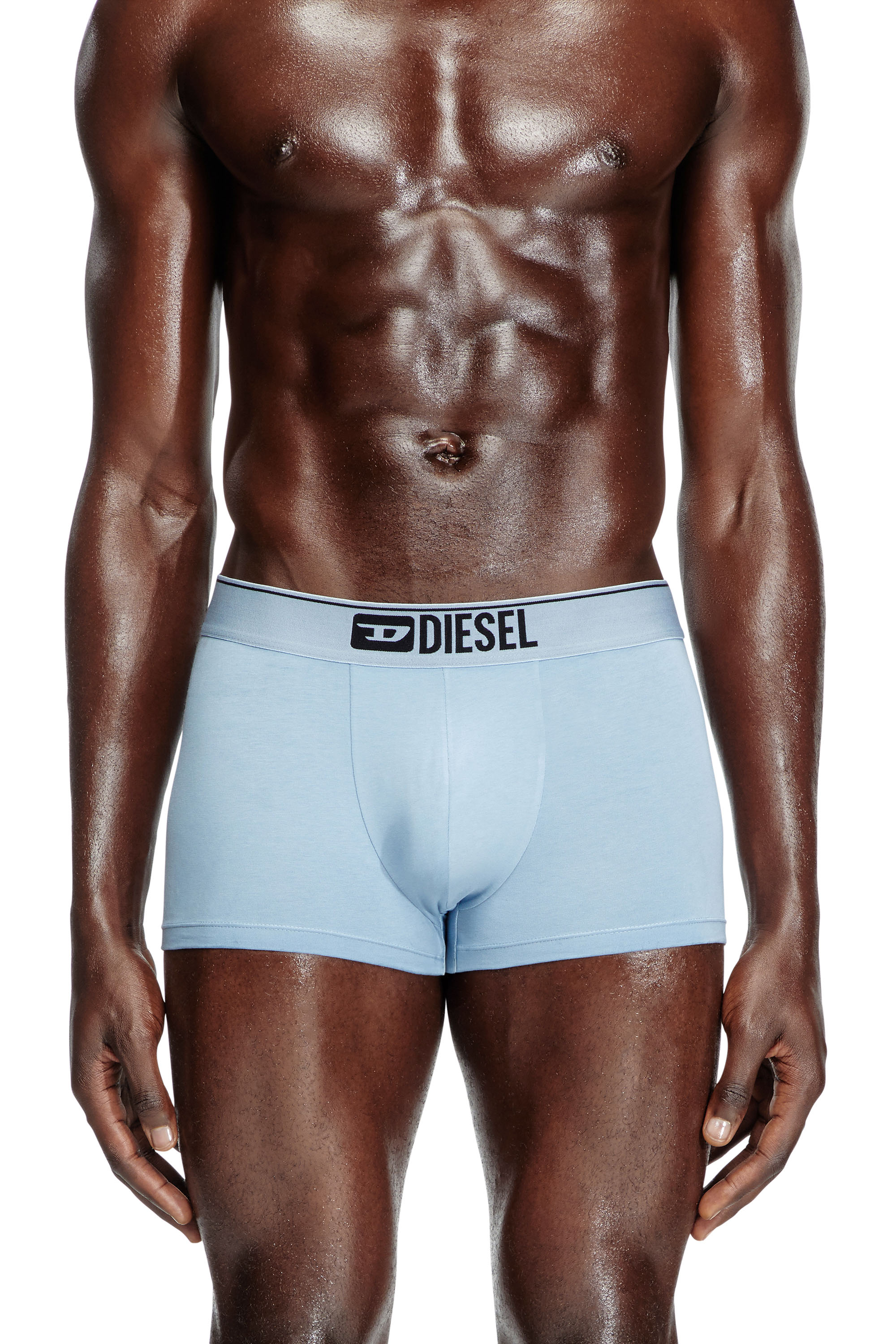 Diesel - DAMIEN-THREEPACK, Herren Retropants mit floralem Motiv im Dreierpack in Blau/Weiss - 2