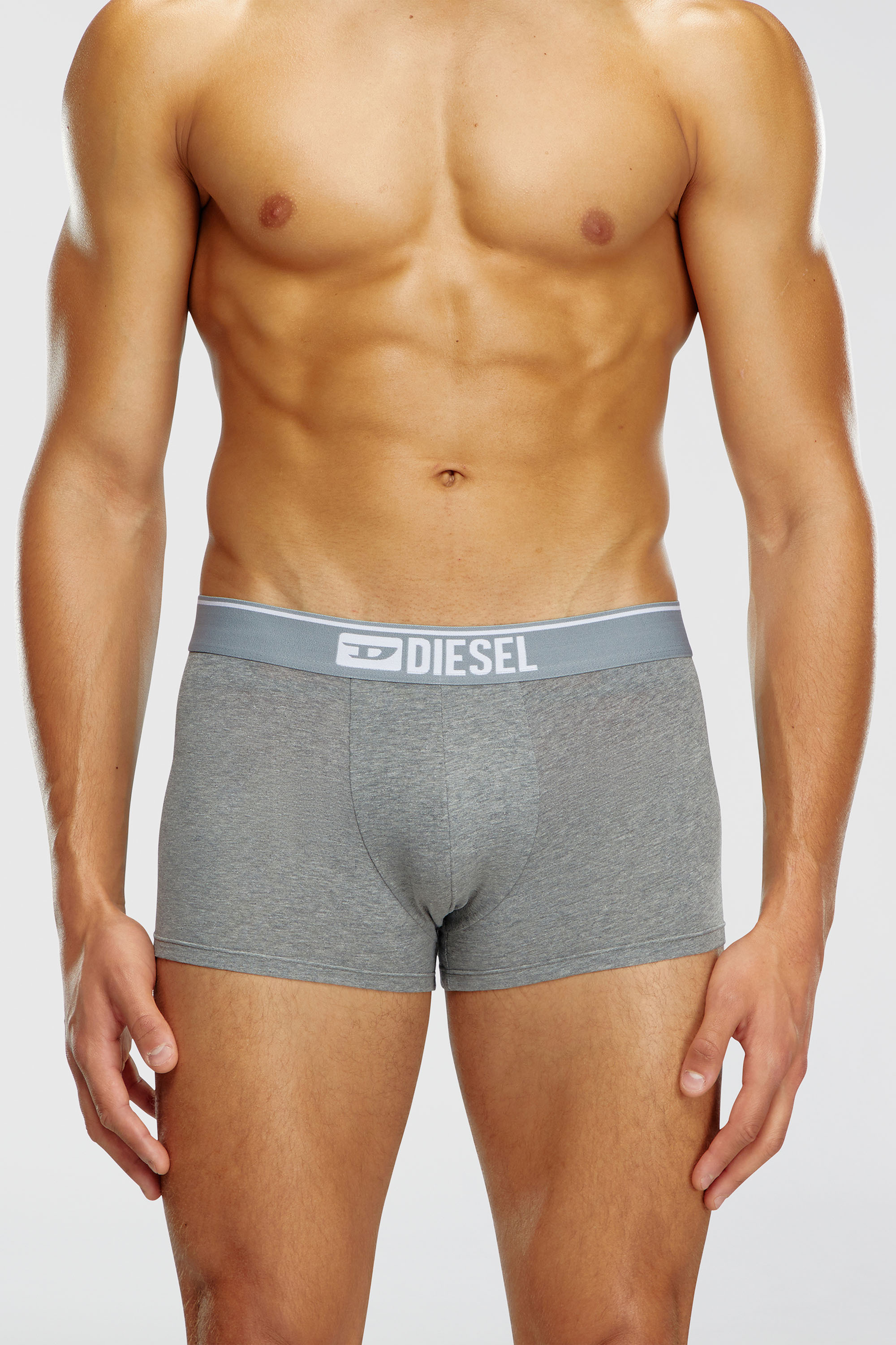 Diesel - UMBX-DAMIENTHREEPACK, Herren Einfarbige Retropants im Dreierpack in Weiss/Grau - 3
