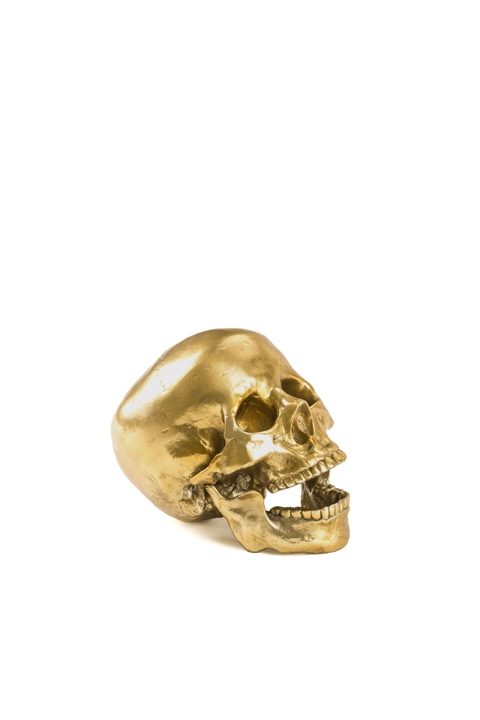 Diesel - 10891 Wunderkammer, Unisex "Culture Skullture" Wunderkammer Human Skull in Gold - 3