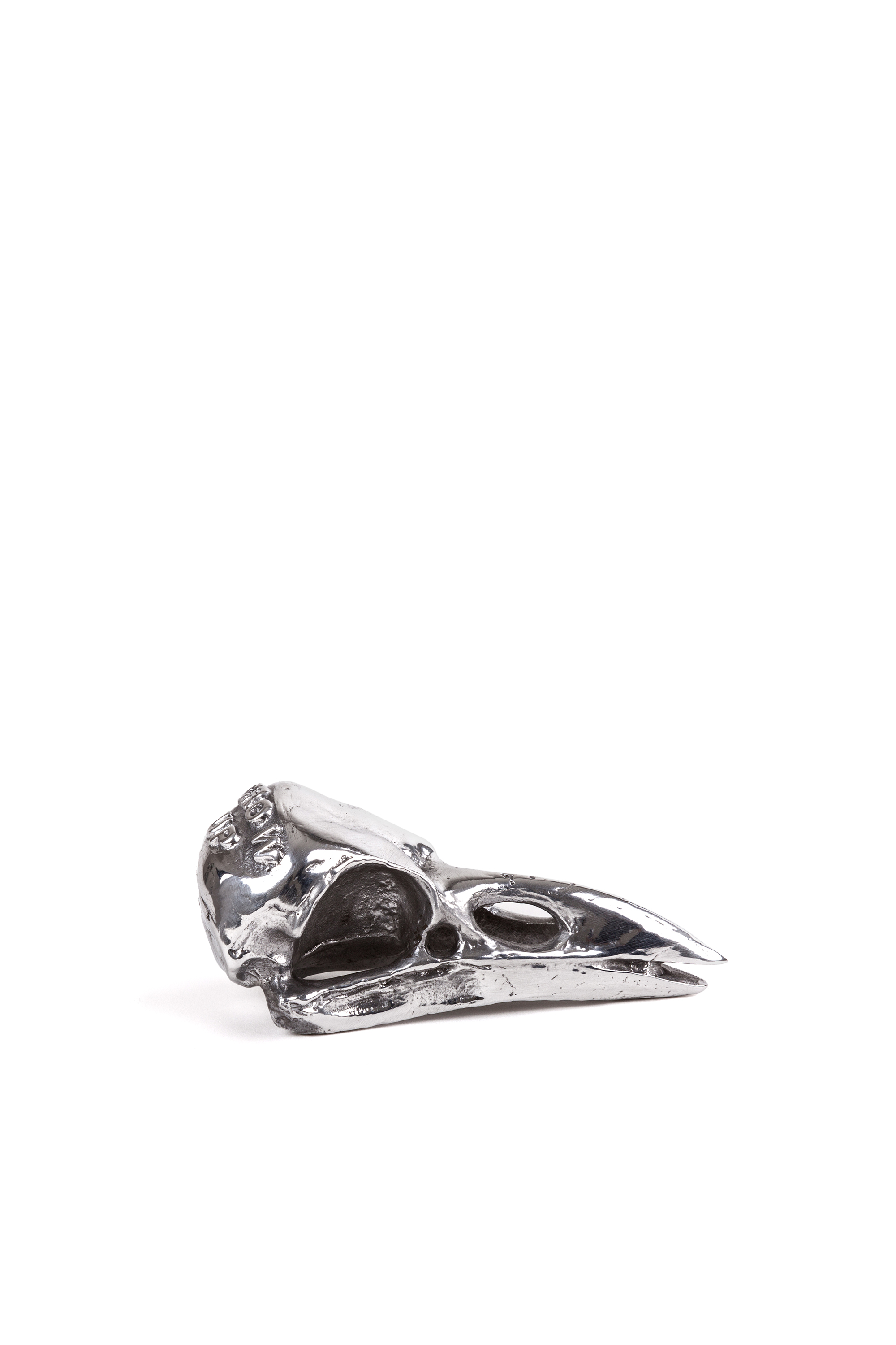 Diesel - 10895 WUNDERKAMMER, Unisex "Crow Up" Wunderkammer Bird Skull in Silber - 4