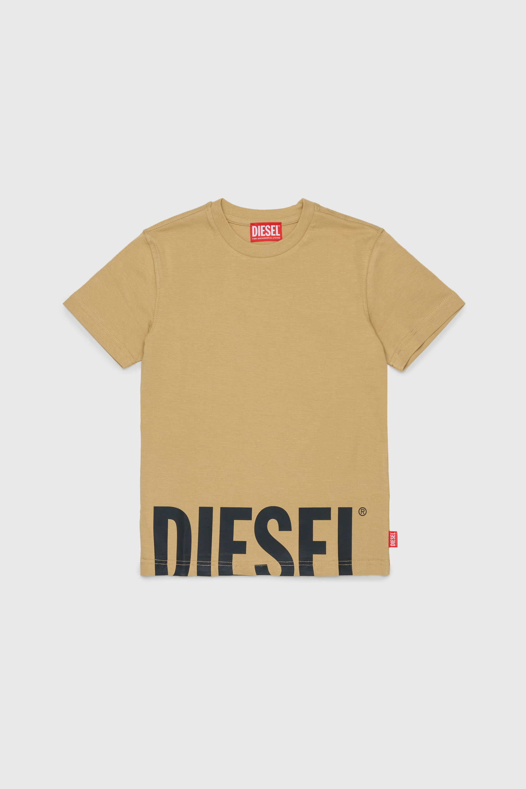 Diesel - TPRES, Man's T-shirt with cut-off logo in Brown - 1