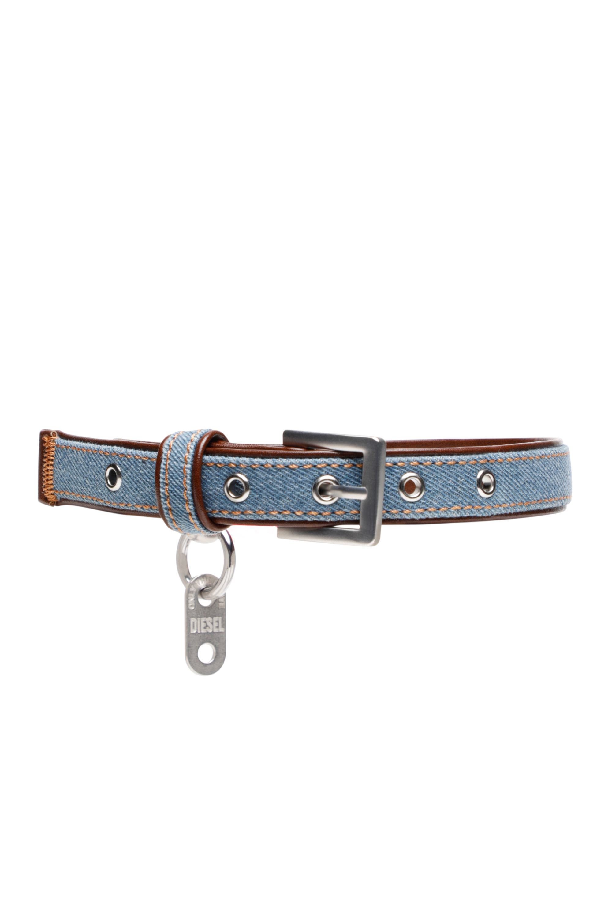 PET-COLLAR, Hellblau Diesel - PET-COLLAR, Hellblau - Image 1
