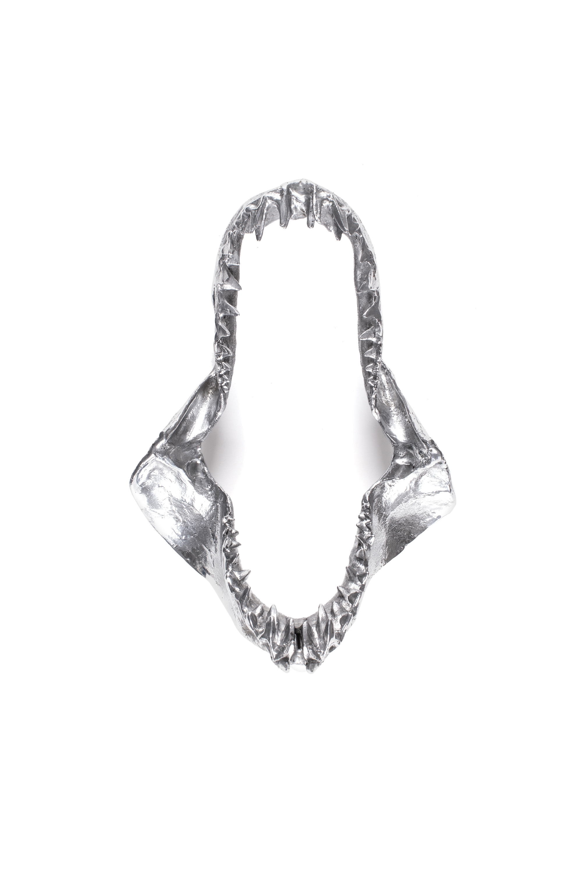 Diesel - 10896 WUNDERKAMMER, Unisex "Bite For Your Right" Wunderkammer Shark Jaw in Silber - 1