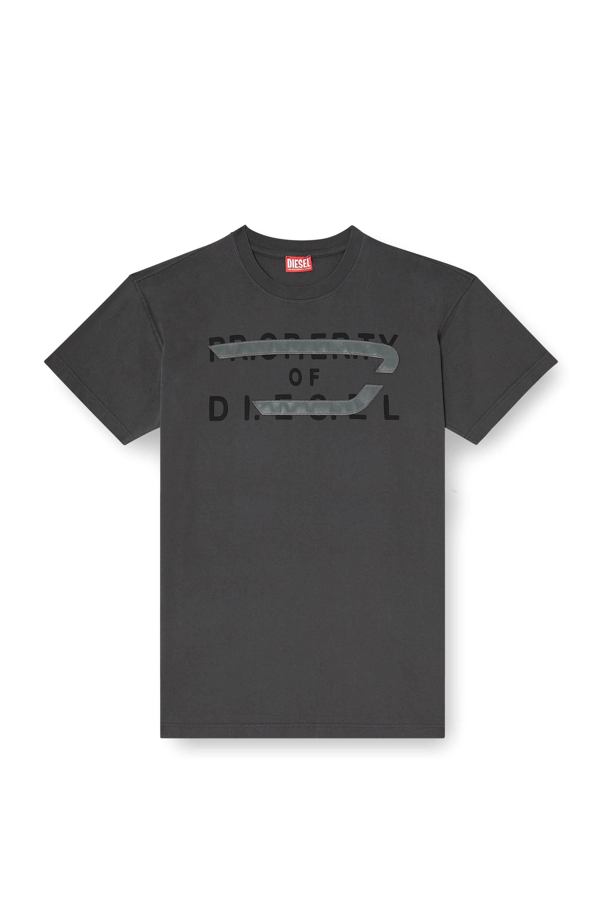 Diesel - T-NORM-V11, Herren Regul&auml;res T-Shirt mit D-Applikation in Grau - 2