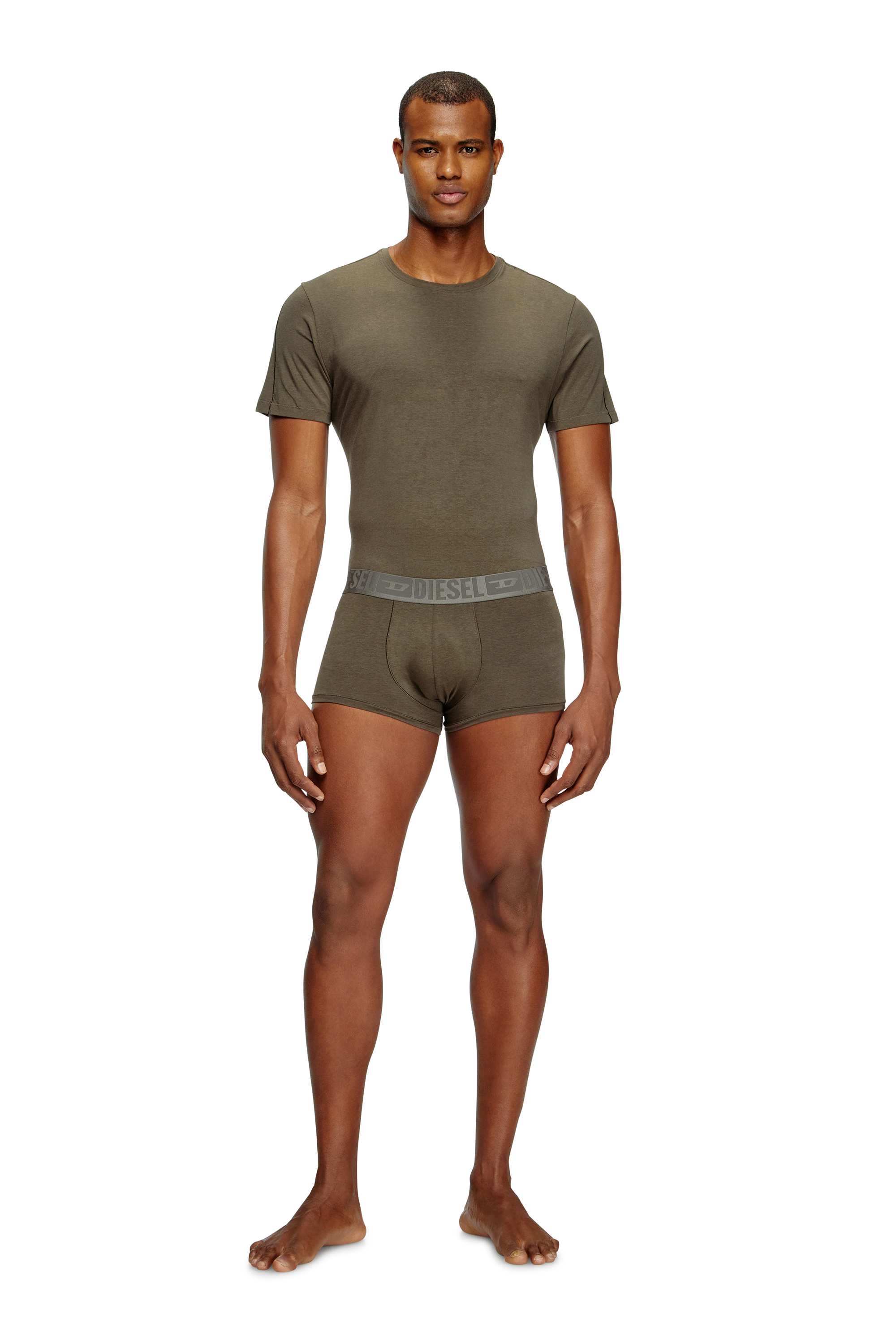 Diesel - RANDAL-D-MONO-2PACK, Herren T-Shirt aus fließendem Jersey im Zweierpack in Grün/Blau - 1