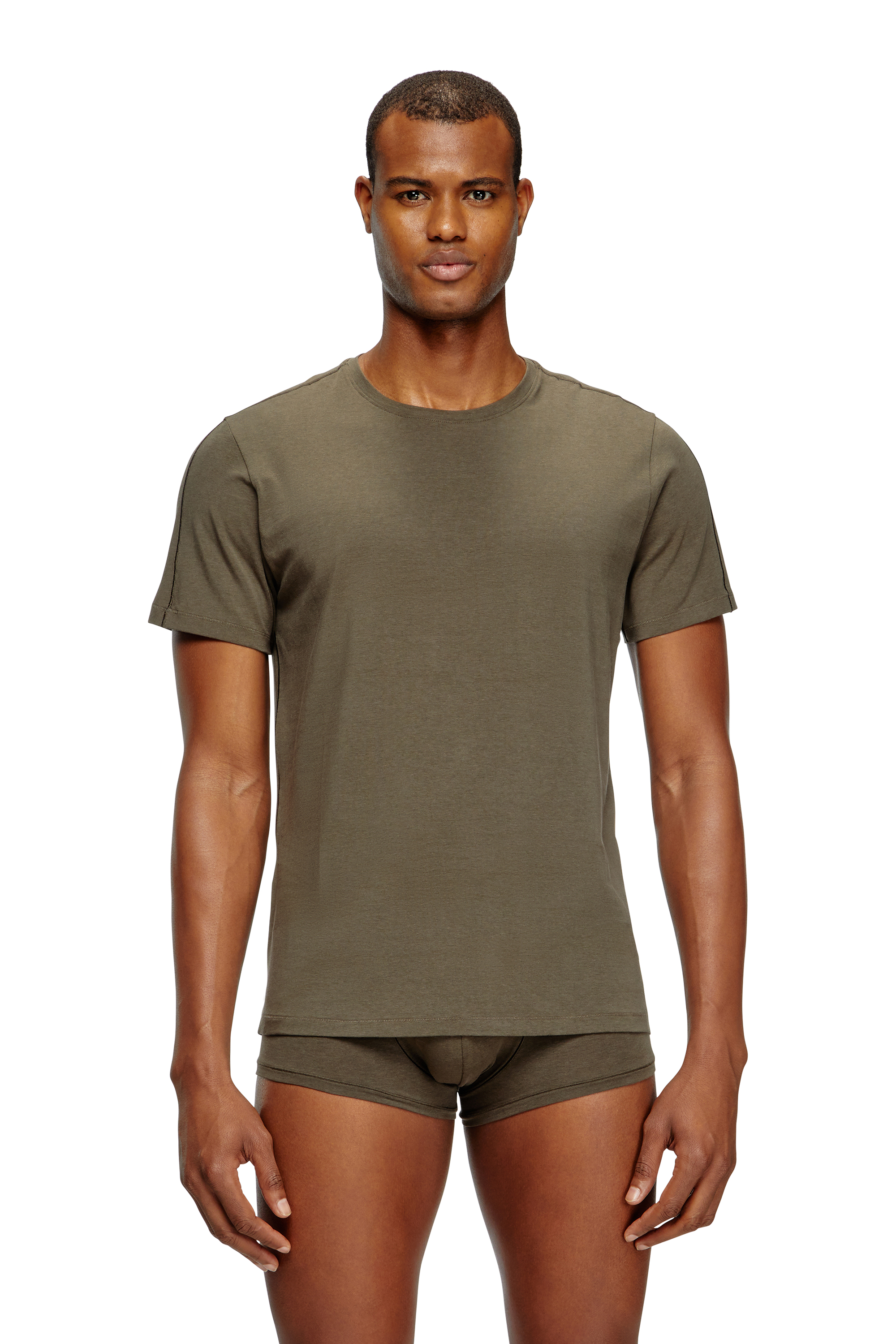 Diesel - RANDAL-D-MONO-2PACK, Herren T-Shirt aus fließendem Jersey im Zweierpack in Grün/Blau - 3