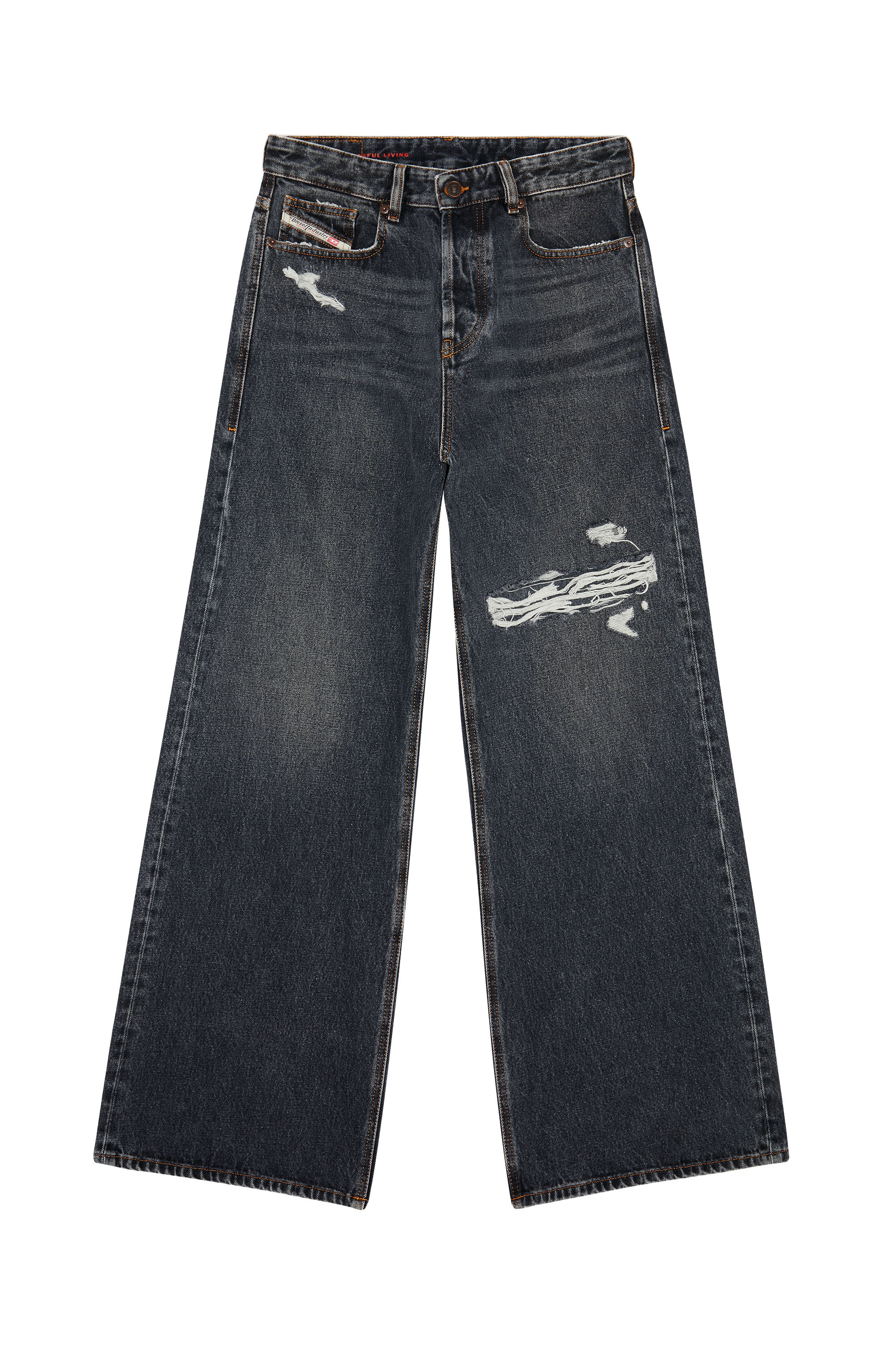 Diesel - Unisex Relaxed Jeans 1996 D-Sire 007F6, Schwarz/Dunkelgrau - 3