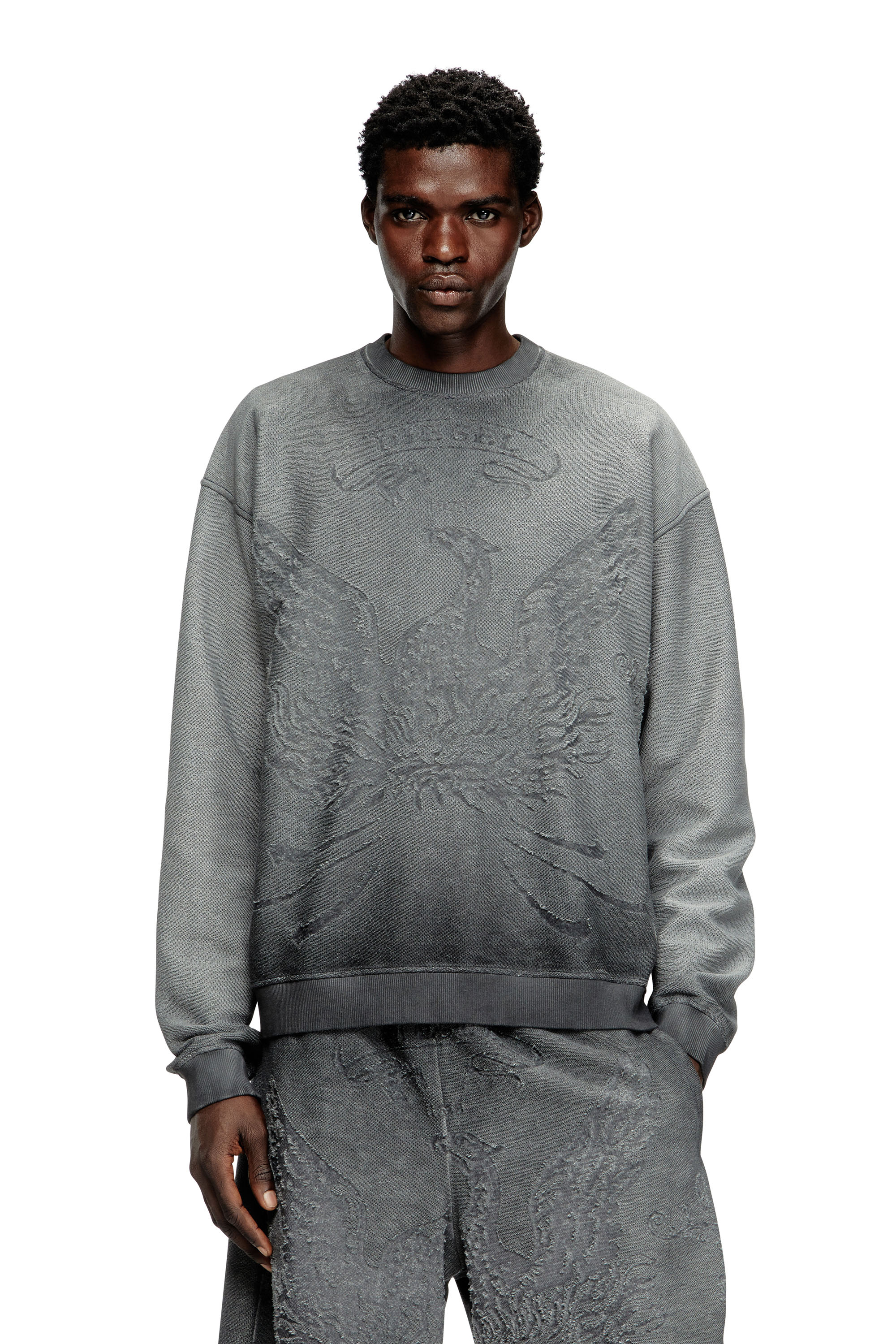 Diesel - S-ARON, Herren Verblasstes Sweatshirt mit Devoré-Phoenix-Logo in Grau - 1
