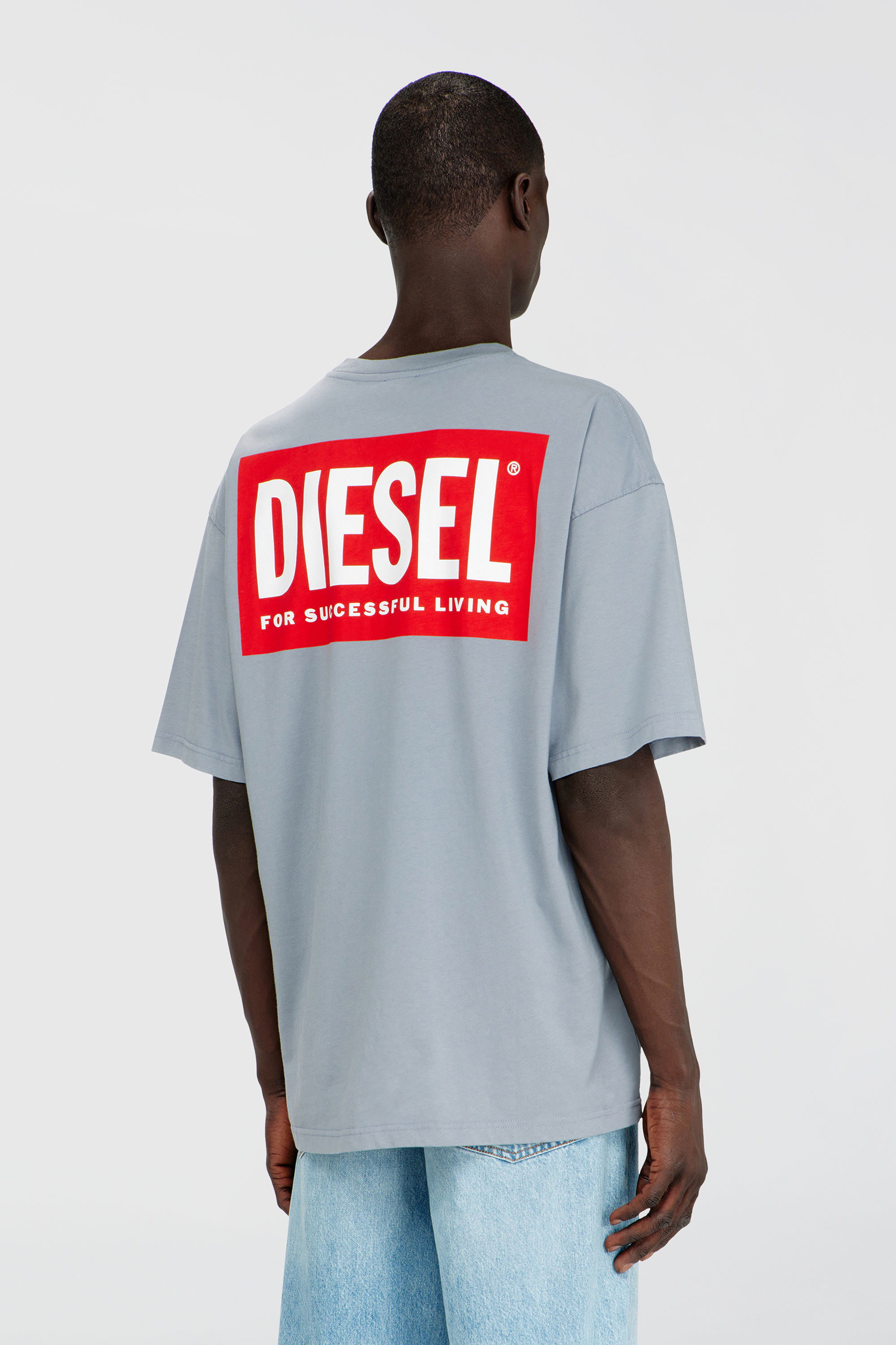 Diesel - T-BOXT-BISK, Herren Baumwoll-T-Shirt mit Diesel-Biscotto-Print in Hellgrau - 4