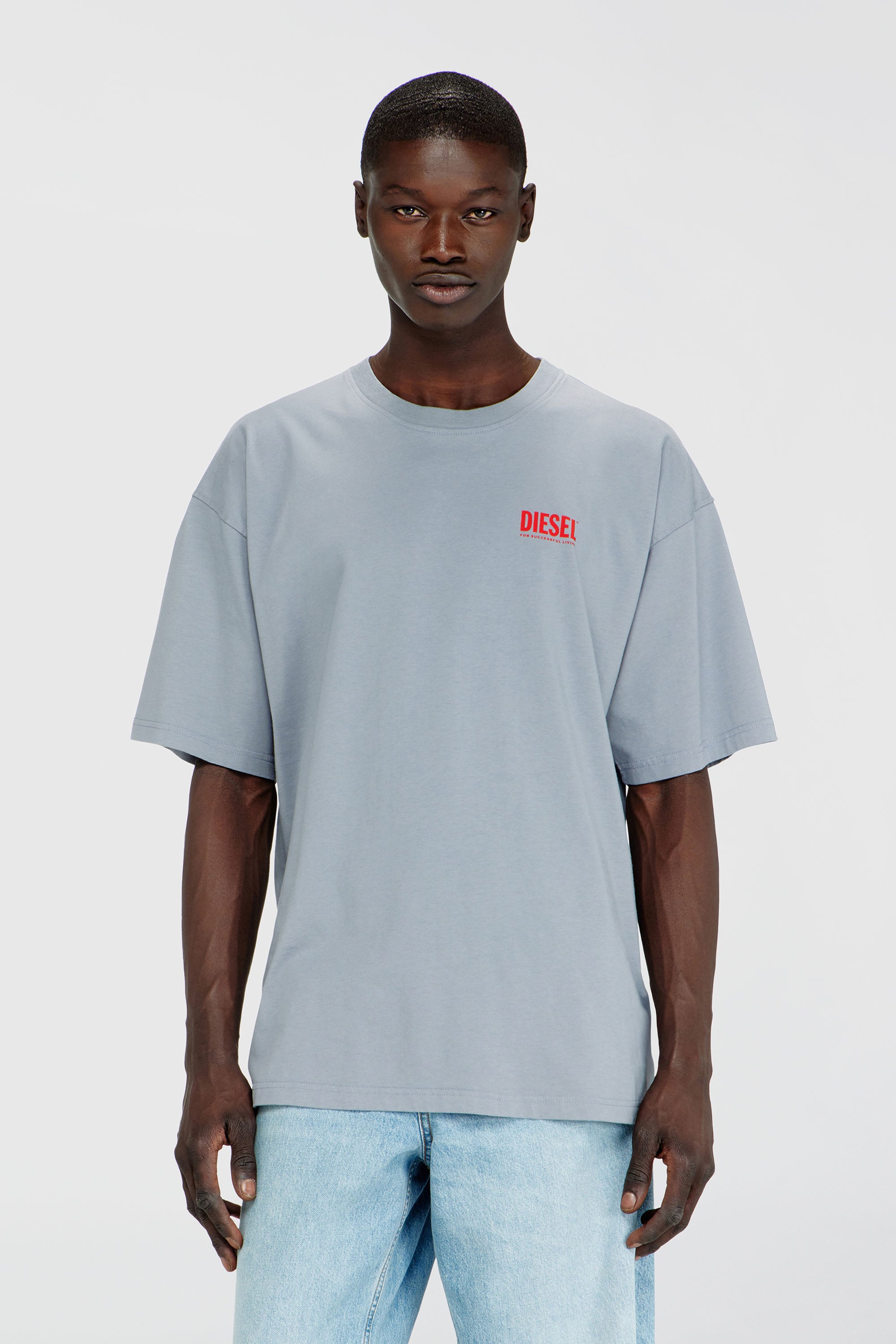 Diesel - T-BOXT-BISK, Herren Baumwoll-T-Shirt mit Diesel-Biscotto-Print in Hellgrau - 1