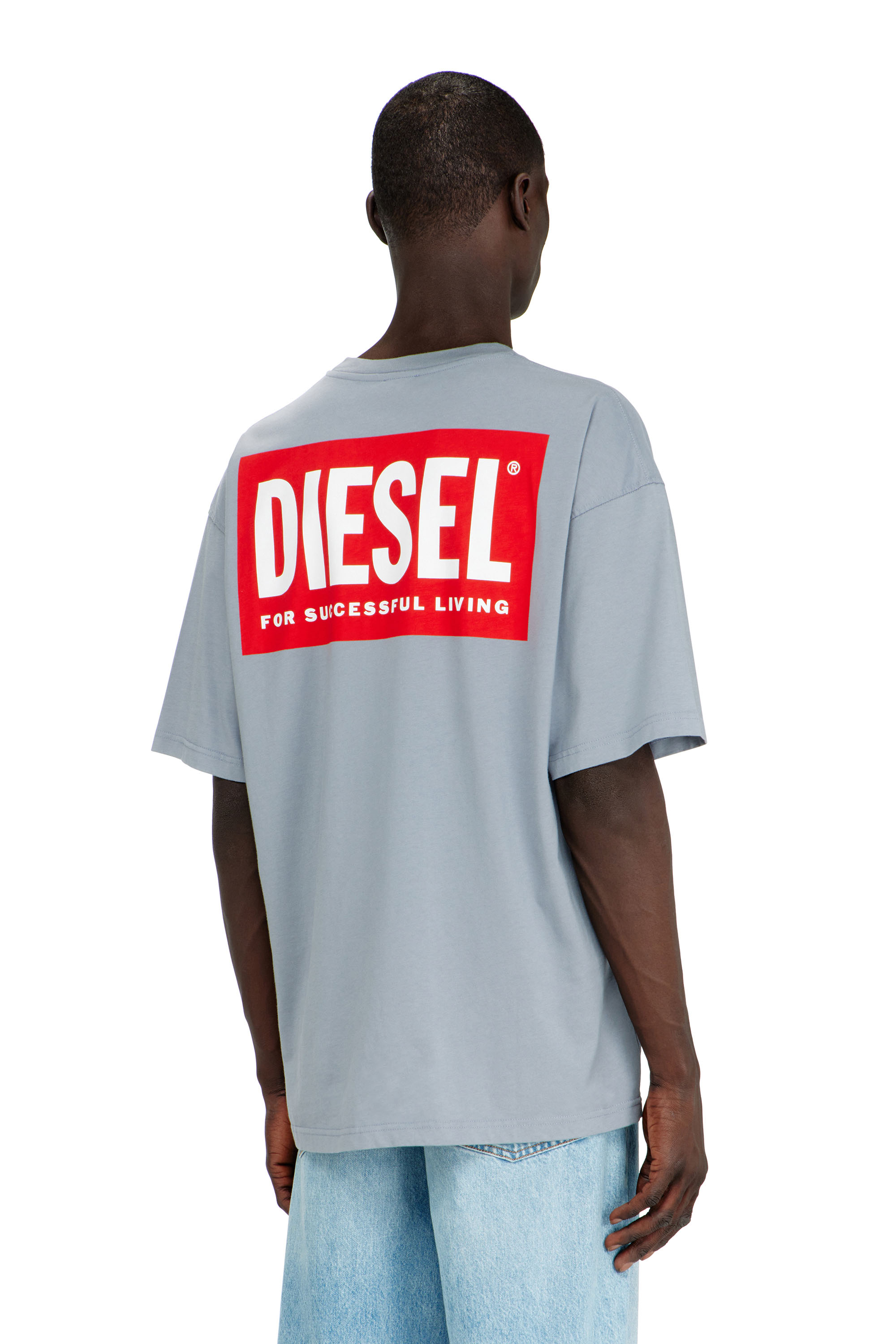 Diesel - T-BOXT-BISK, Herren Baumwoll-T-Shirt mit Diesel-Biscotto-Print in Hellgrau - 4